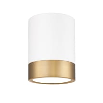 Matte White / Modern Gold