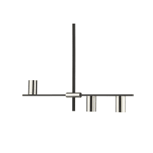 Mate Black / Polished Nickel