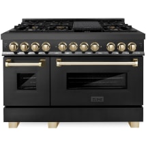 Black Stainless Steel