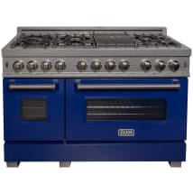 Stainless Steel / Blue Gloss