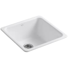 Cast Iron Kitchen Sinks - Build.com