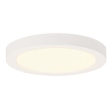 White Westinghouse Lighting 6-Inch Ceiling Fixture 