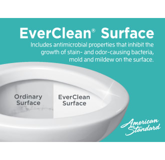 American Standard-3075-EverClean Technology