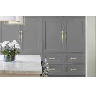 Amerock-BP29365-Golden Champagne on Gray Cabinets