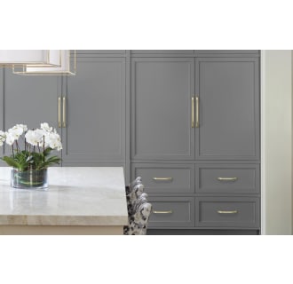 Amerock-BP55348-Golden Champagne on Gray Cabinets