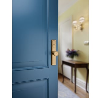 Baldwin-6945.ENFD-Satin Brass and Brown installed on blue door