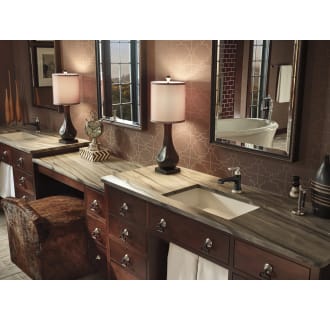 Brizo-65060LF-Installed Faucets in Luxe Nickel/Matte Black