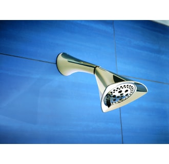 Installed Shower Head with Shower Arm