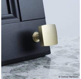 Century Hardware-10715-Brass on black door