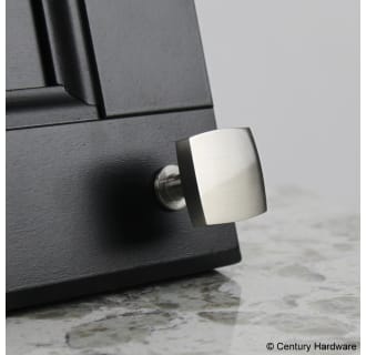 Century Hardware-10715-Nickel on black door