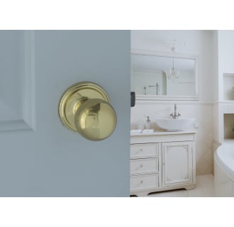 Copper Creek-BK2020-Bathroom Application in Polished Brass