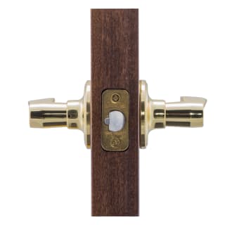 Copper Creek-WL2220-Application Side View in Polished Brass