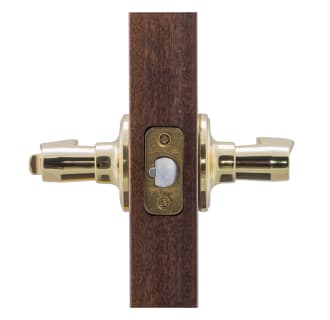 Copper Creek-WL2240-Application Side View in Polished Brass