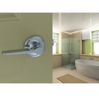 Copper Creek-ZL2230-Bathroom Application View in Polished Stainless