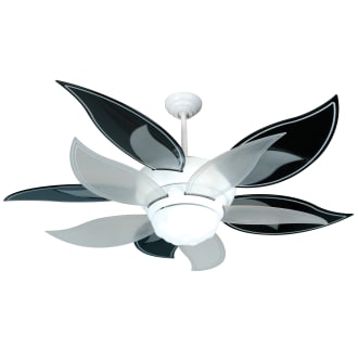 Black Fan Blades with Bloom Ceiling Fan