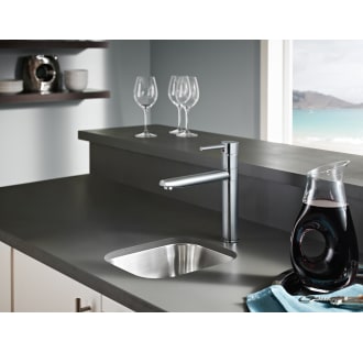 Delta-1159LF-Installed Faucet in Arctic Stainless