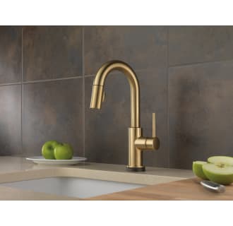 Delta-9959T-DST-Installed Faucet in Champagne Bronze