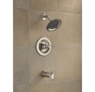 Delta-BT14496-Installed Shower Head and Tub Spout in Brilliance Stainless