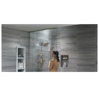 Installed Shower in Use in Brilliance Stainless