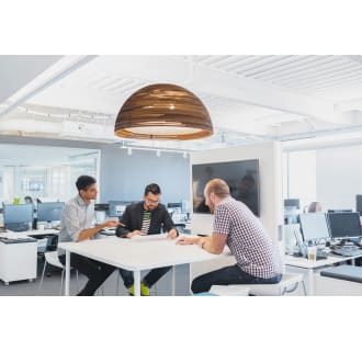 Dome 36 Pendant - Natural in Office