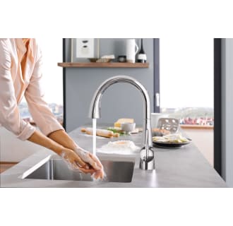 Grohe-30 313-Alternate View