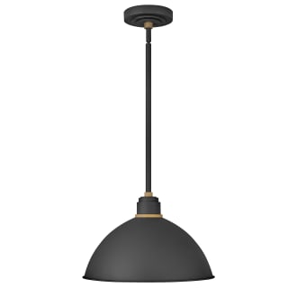 Pendant with Canopy - TK