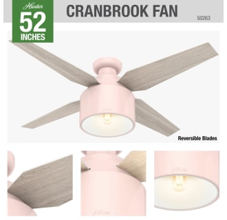 Hunter 50263 Cranbrook Ceiling Fan Details