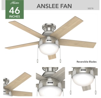 Hunter 50278 Anslee Ceiling Fan Details
