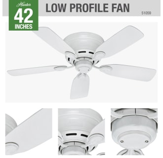 Hunter 51059 Ceiling Fan Details
