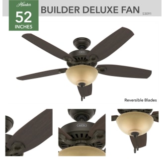Hunter 53091 Builder Ceiling Fan Details
