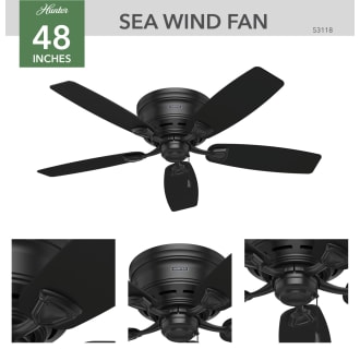 Hunter 53118 Sea Wind Ceiling Fan Details