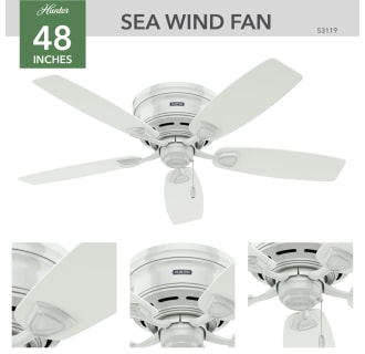 Hunter 53119 Sea Wind Ceiling Fan Details