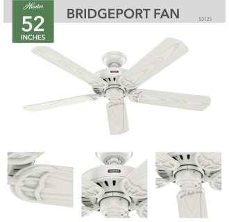 Hunter 53125 Bridgeport Ceiling Fan Details