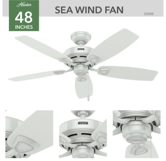 Hunter 53350 Sea Wind Ceiling Fan Details