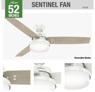 Hunter 59169 Sentinel Ceiling Fan Details