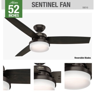 Hunter 59210 Sentinel Ceiling Fan Details