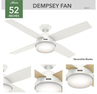 Hunter 59217 Dempsey Ceiling Fan Details