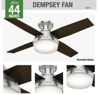 Hunter 59243 Dempsey Ceiling Fan Details