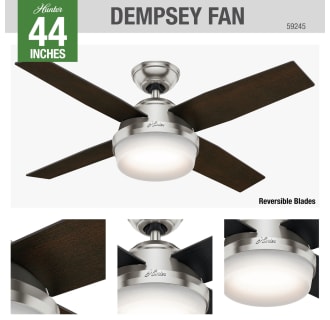 Hunter 59245 Dempsey Ceiling Fan Details