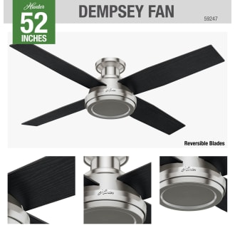 Hunter 59247 Dempsey Ceiling Fan Details