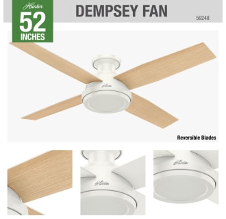 Hunter 59248 Dempsey Ceiling Fan Details