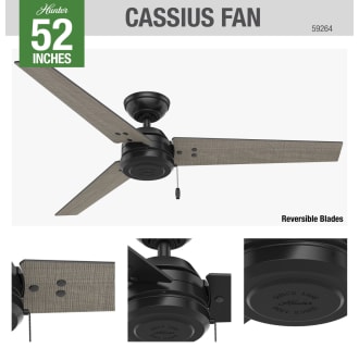 Hunter 59264 Cassius Ceiling Fan Details