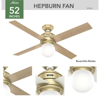Hunter 59320 Hepburn Ceiling Fan Details