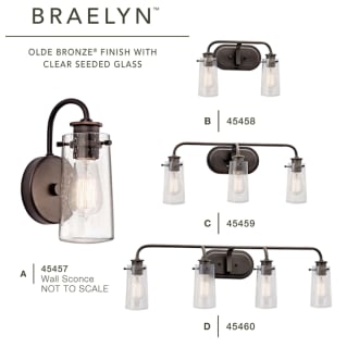 Braelyn Bath Collection in Olde Bronze