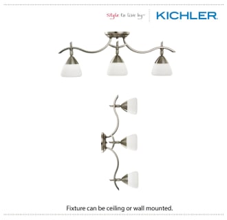 The Kichler 7703 can be wall or ceiling mounted