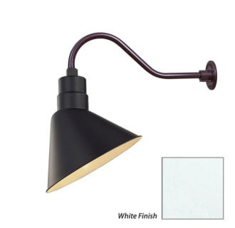 Millennium Lighting-RAS12-RGN22-Fixture with White Finish Swatch