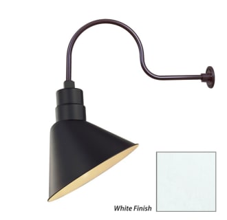 Millennium Lighting-RAS12-RGN30-Fixture with White Finish Swatch