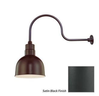 Millennium Lighting-RDBS10-RGN30-Fixture with Satin Black Finish Swatch