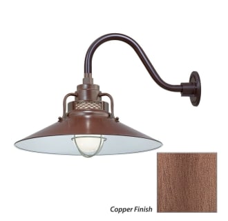 Millennium Lighting-RRRS18-RGN15-Fixture with Copper Finish Swatch