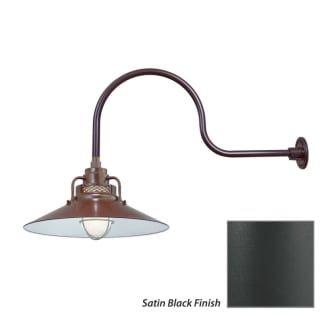 Millennium Lighting-RRRS18-RGN30-Fixture with Satin Black Finish Swatch